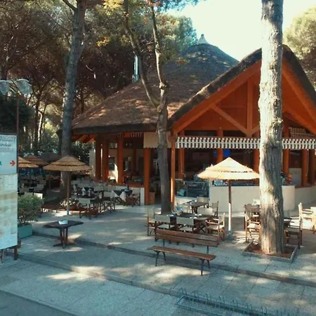 The Charming Mare Pineta Mobile 4 Persons * Lido di Spina